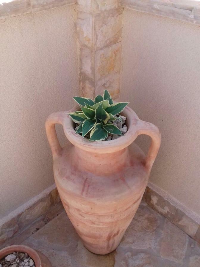 Nella Privlaka (Zadar)